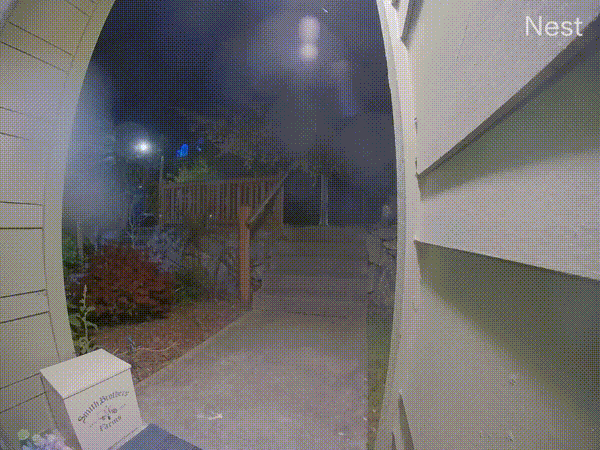 Doorbell camera view of me walking out with the foil-wrapped pods