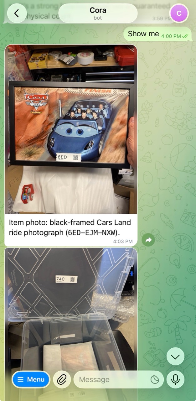 Cora responds to Show me with the original Cars Land photograph, labeled 6ED, followed by the packing photograph.