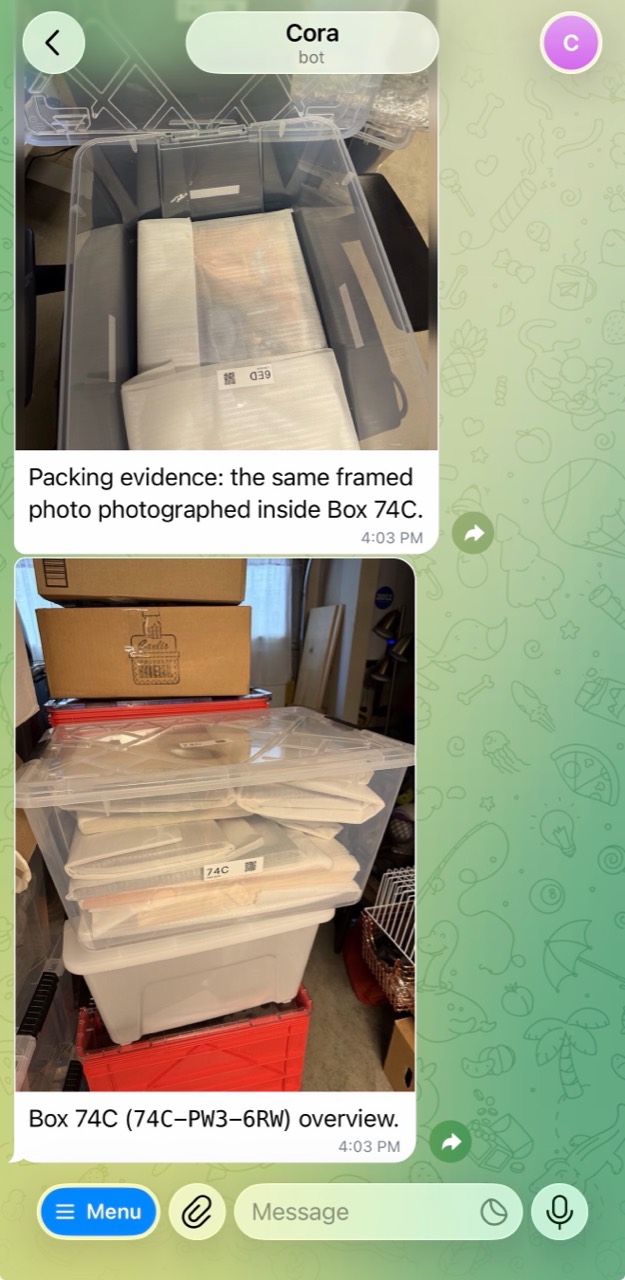 Cora shows the foam-wrapped 6ED frame inside box 74C and an overview of the packed storage box with its 74C label visible.
